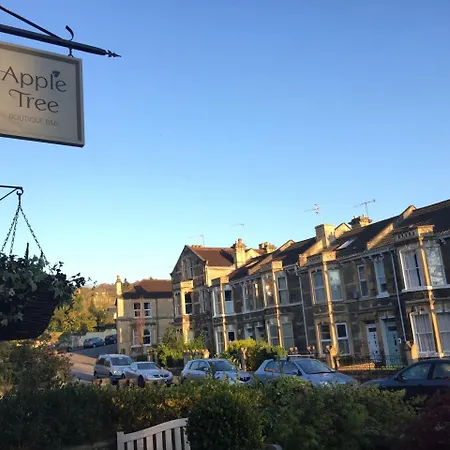 Apple Tree Boutique B&B-3