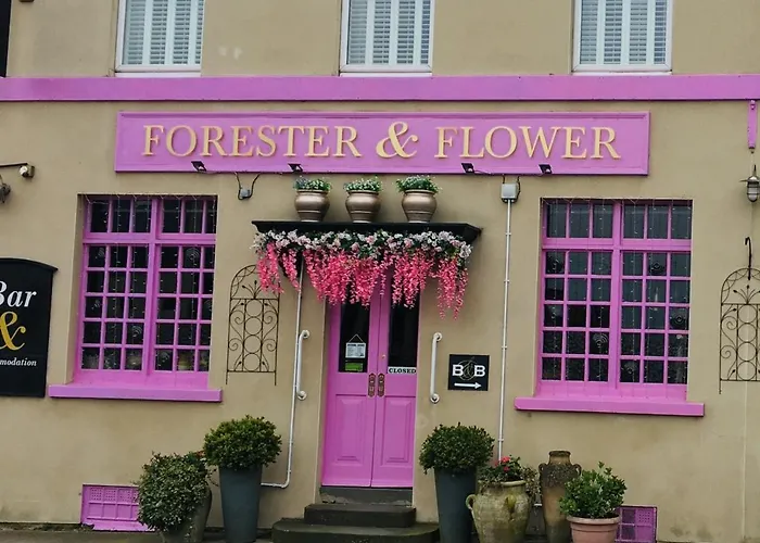 The Forester And Flower Bath